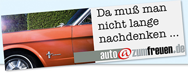 autohaus domain mieten